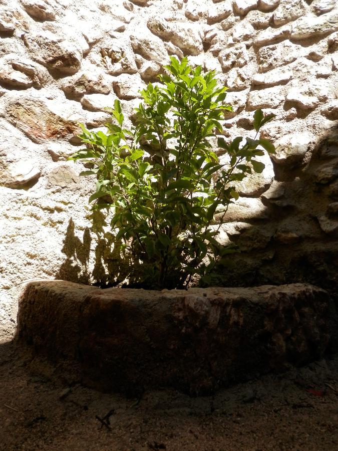 Cali B&B Alatri 외부 사진